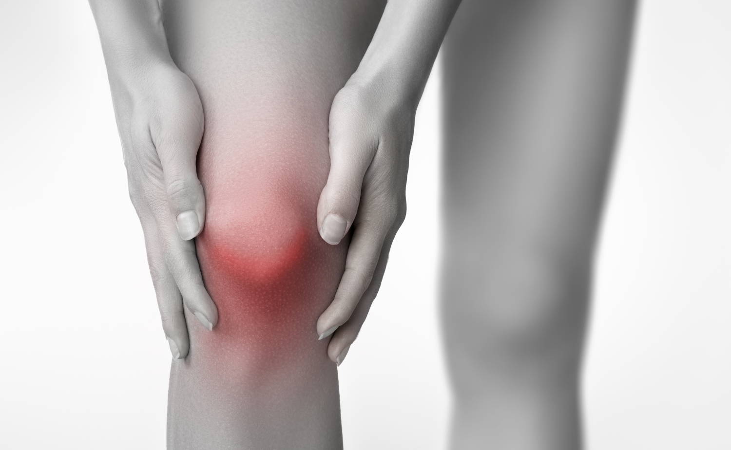 How to Put on Knee Sleeves (Expert's Guide) Koprez®